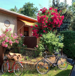 Grüner Bungalow am Kiebitzsee